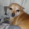 Profile Picture of marciahultman1 (@marciahultman1) on Tiktok