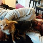 Profile Picture of Ericv Roybal (@ericvroybal) on Instagram