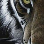 Profile Picture of Brent Lancaster (@brent.lancaster.90) on Instagram