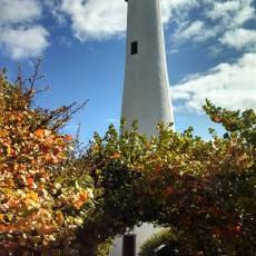 James McFarlin - Twitter Profile Picture of James McFarlin (@riverhandcraft) on Twitter