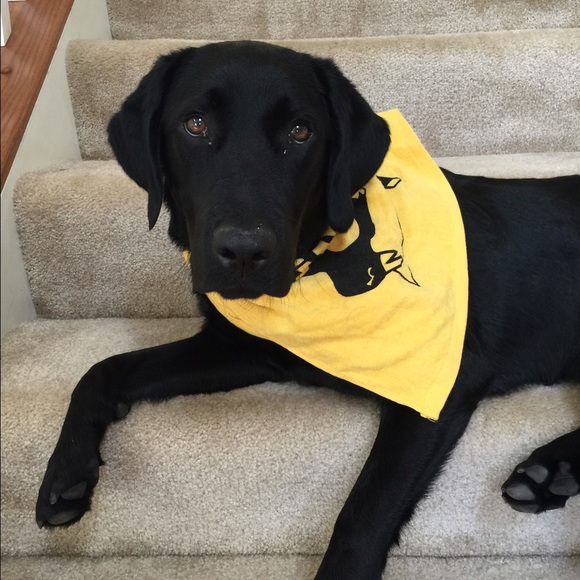 Profile Picture of Steph Stukel (@sastukel) on Poshmark