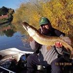 Profile Picture of Daniel Samyn (@danielsamyn) on Instagram