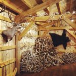 Profile Picture of Mike Doering (@mdoering11) on Instagram