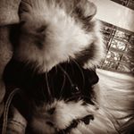 Profile Picture of Anna Lehmeier (@anniundmeerlis) on Instagram