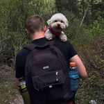 Profile Picture of Sam Pennell (@sam_pennell) on Instagram