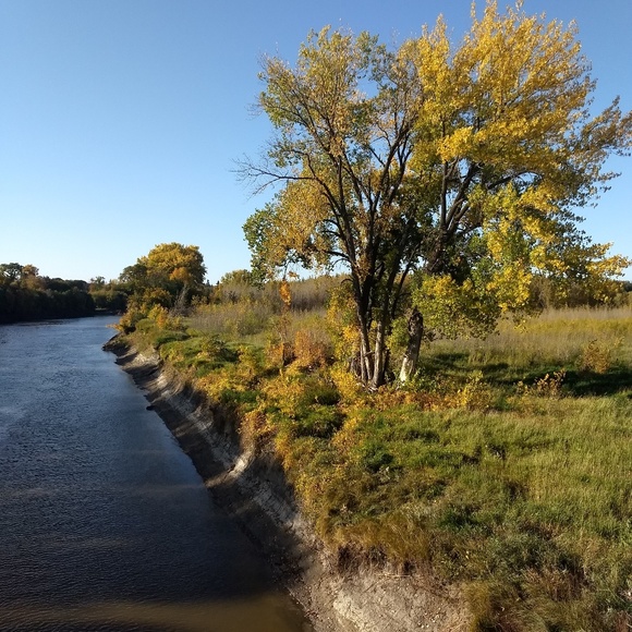 Profile Picture of Carolyn Stanislowski (@carmarsta) on Poshmark