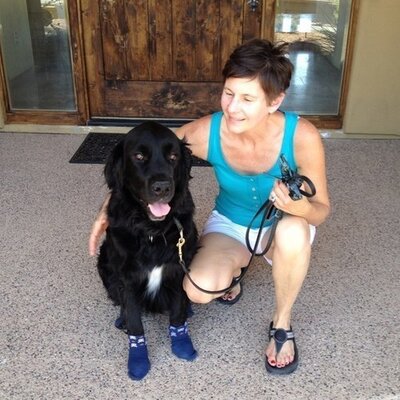 Profile Picture of Lori E Schmeling (@LoriElizabethS) on Twitter