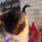 Profile Picture of Gary Lehman (@garbar123) on Instagram