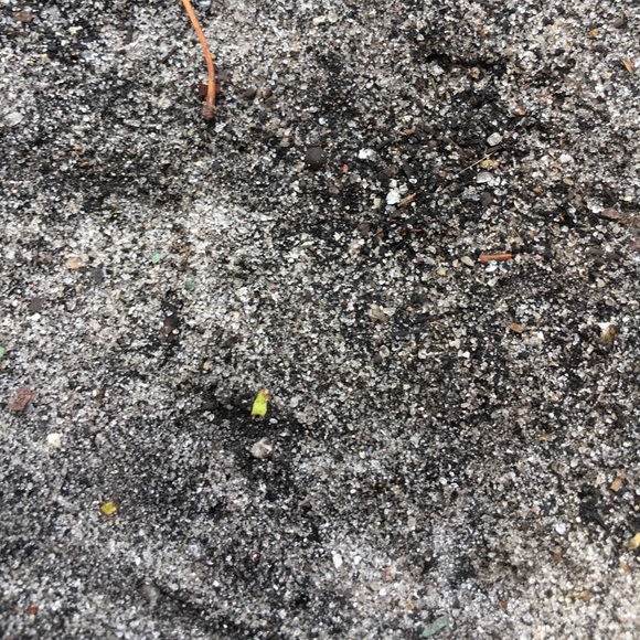 Profile Picture of Brian Carter (@smartshopper50) on Poshmark