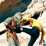 Profile Picture of James T.  Kirk (@jamesvsthegorn) on Flickr