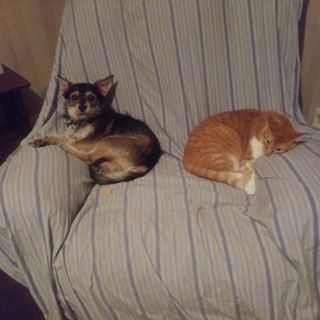 Profile Picture of Jerry Holbrook (@jerry.holbrook.1485) on Facebook