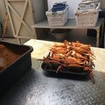 Mike Peyton - Instagram Profile Picture of Mike Peyton (@mapvirgo36) on Instagram