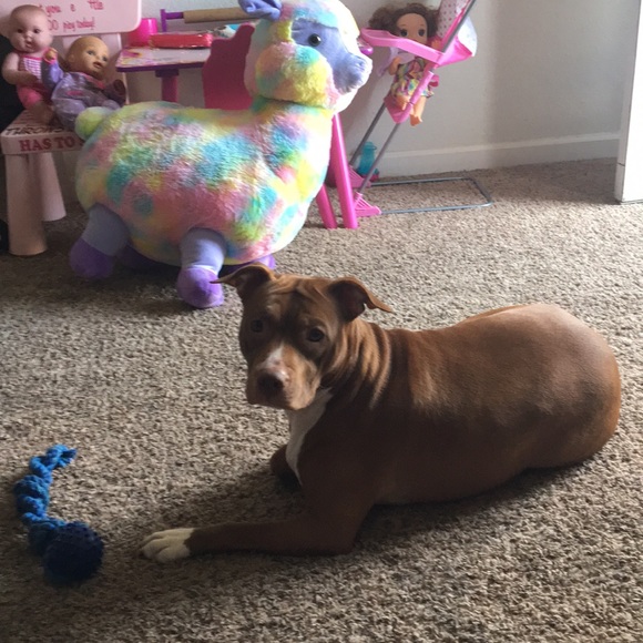 Profile Picture of Jesse Miranda (@jaymoney84) on Poshmark