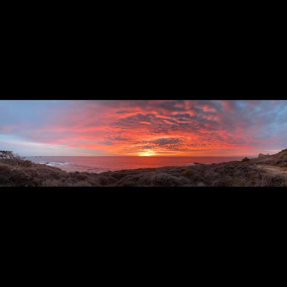 Profile Picture of Pearl Bryan (@pearlbryan) on Poshmark