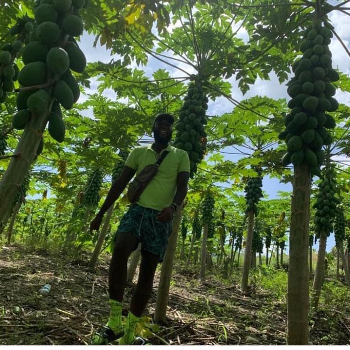 Profile Picture of Demar Adams (@@demaradams1) on Tiktok