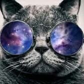 Profile Picture of Chad Rousseau (@flamingvznija) on Twitter