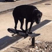 Profile Picture of Andrew Kraft (@andrewkraft5584) on Youtube