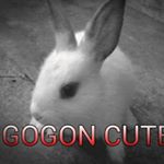 Profile Picture of jasonbieber0052 (@jasonbieber0052) on Instagram