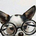 Profile Picture of susan quintero (@susanquintero) on Instagram
