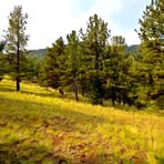 Profile Picture of Robert Fasone Vth (@Robert-Fasone-Vth) on Facebook