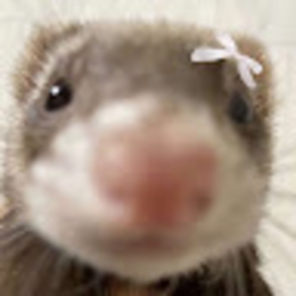 Profile Picture of Julia Grygo (@fretkagrygo) on Poshmark