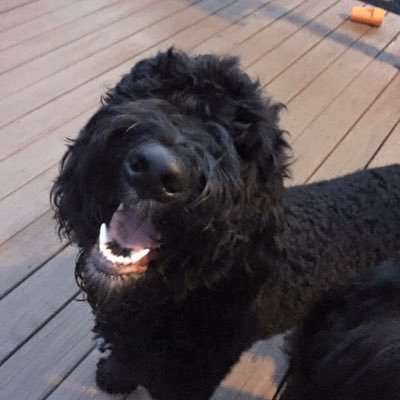 Profile Picture of Kim Beamon (@KimBeamon) on Twitter