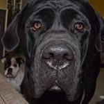 Profile Picture of Karen De Schouwer (@karendeschouwer) on Instagram