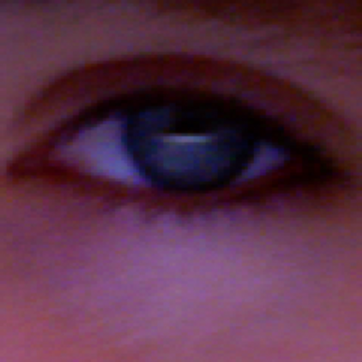 Profile Picture of Léo Poirier (@gryfoudu13) on Twitter