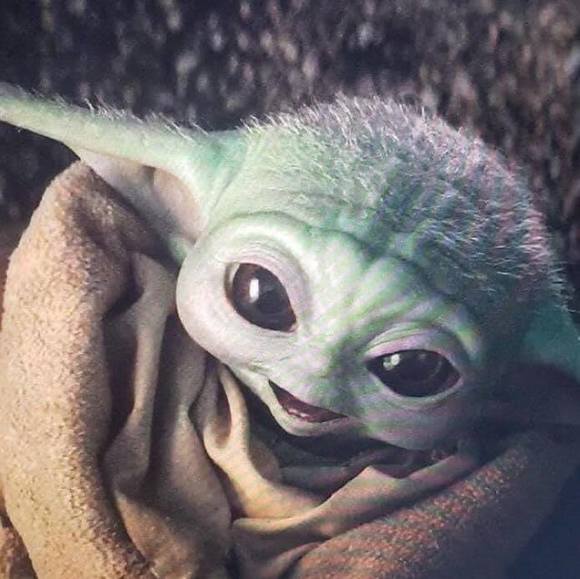 Profile Picture of Jessica Huffman (@llrjessicahuff) on Poshmark