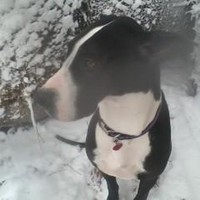 Profile Picture of Julia Graves (@julia-graves-4) on Quora