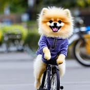 Profile Picture of Isaiah Kelly (@isaiahDK) on Youtube