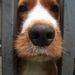 Profile Picture of Kim Collette (@kim0906) on Pinterest