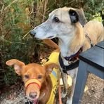 Profile Picture of Jackie Emens (@Jackie-Emens) on Facebook