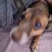 Profile Picture of Bianca Avalos (@bavalos501) on Pinterest