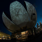 Profile Picture of Jason Ng (@jasonng77) on Flickr