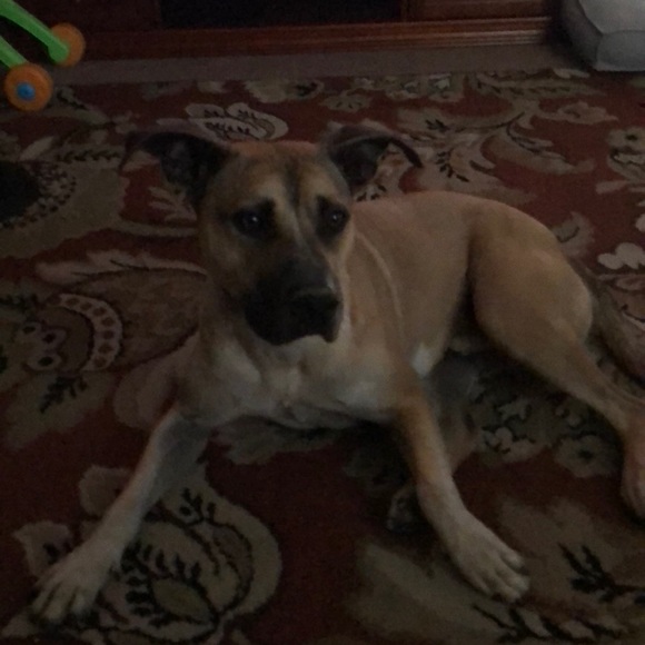 Profile Picture of Kandice Tangeman (@ktangeman16) on Poshmark