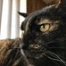 Profile Picture of Steve Castleberry (@steve.castleberry.376) on Facebook
