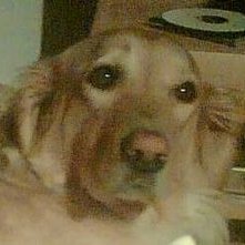 Profile Picture of Peter Mink (@petermink1) on Twitter