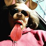 Profile Picture of Jerry Phair (@jerryphair) on Instagram