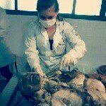 Profile Picture of Nelly Marisol Lòpez (@mary_nelly95) on Instagram