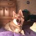 Profile Picture of Stace Pryor (@stace.pryor.3) on Facebook