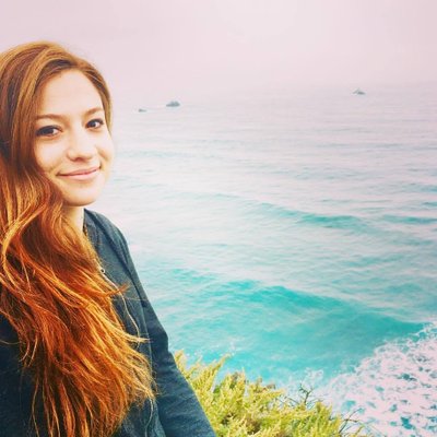 Profile Picture of Sarah Michael Levine (@sarahmakesmaps) on Twitter