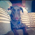 Profile Picture of Ann Schultz (@ciene1979) on Instagram