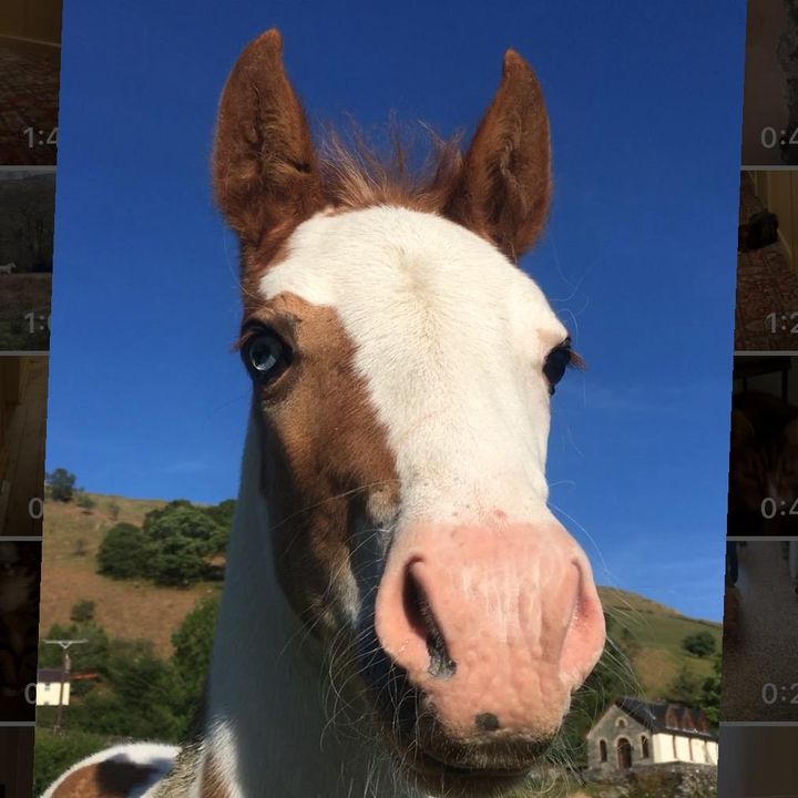 Profile Picture of Jones (@@river_blue_eye) on Tiktok