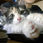 Profile Picture of Maria Isabel Marin Quiroz (@marujita marin) on Flickr