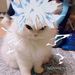 Profile Picture of Luis Armando RE DEE (@LuisARDEEEEEEEEEE) on Pinterest