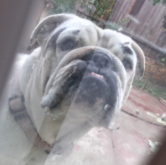 Profile Picture of Ian Cheung (@iancheung2k6) on Poshmark