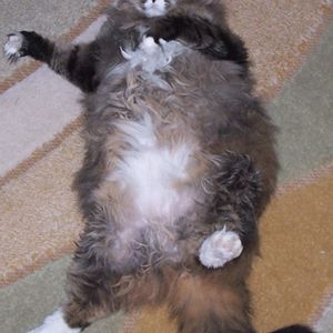 Jeff Beaudry - Myspace Profile Picture of Jeff Beaudry (@vw16v88) on Myspace