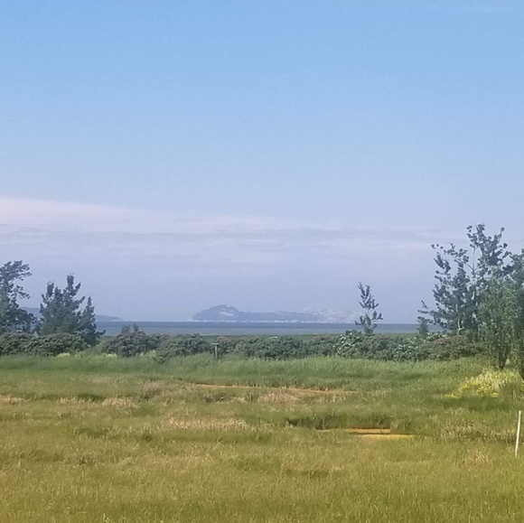 Profile Picture of Cony Olarte (@cony8940) on Poshmark