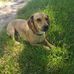 Profile Picture of Peter Bruder (@peter.bruder.71) on Facebook